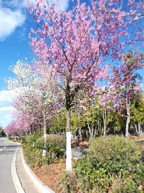 感谢2018,感谢教练宝典!2